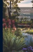 New England Wild Flowers and Their Seasons