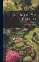 Colour in My Garden