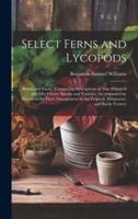 Select Ferns and Lycopods