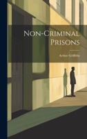 Non-Criminal Prisons