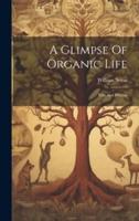 A Glimpse Of Organic Life