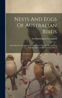 Nests And Eggs Of Australian Birds