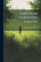 Ears From Harvested Sheaves