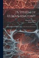 A System of Human Anatomy