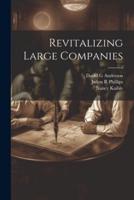 Revitalizing Large Companies