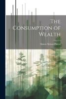 The Consumption of Wealth