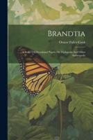 Brandtia