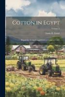 Cotton in Egypt