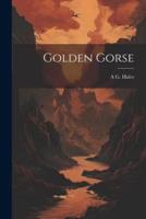 Golden Gorse