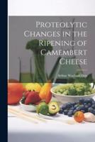 Proteolytic Changes in the Ripening of Camembert Cheese