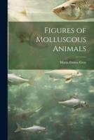 Figures of Molluscous Animals