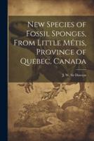 New Species of Fossil Sponges, From Little Métis, Province of Quebec, Canada