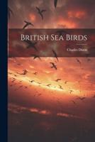 British Sea Birds