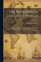 The Wonders Of The Little World