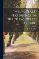 Twelve Years' Experience In Black Raspberry Culture