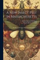 A New Insect Pest In Massachusetts