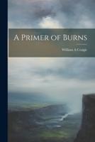 A Primer of Burns