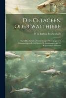 Die Cetaceen Oder Walthiere