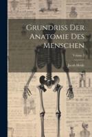 Grundriss Der Anatomie Des Menschen; Volume 2