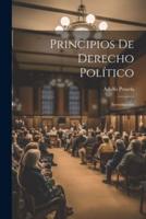 Principios De Derecho Político