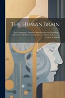 The Human Brain