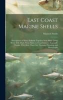 East Coast Marine Shells