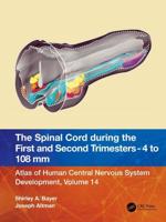The Spinal Cord During the First and Second Trimesters - 4 to 108 Mm