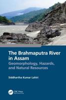 The Brahmaputra River in Assam