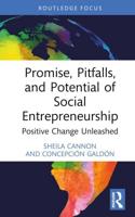 Promise, Pitfalls, and Potential of Social Entrepreneurship