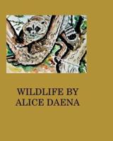Wild life by Alice Daena