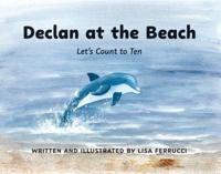 Declan at the Beach