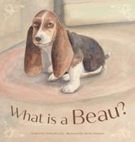 What Is a Beau?