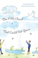 The Little Cloud That Could Not Grow