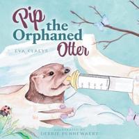 Pip the Orphaned Otter