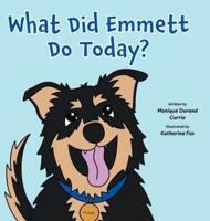 What Did Emmett Do Today?
