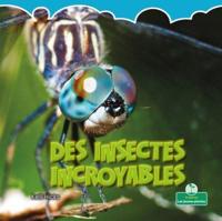 Des Insectes Incroyables (Incredible Insects)