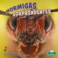 Hormigas Sorprendentes