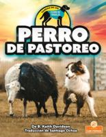 Perro De Pastoreo