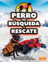 Perro De Búsqueda Y Rescate (Search and Rescue Dog)