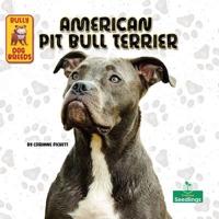 American Pit Bull Terrier