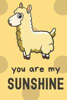 You Are My Sunshine