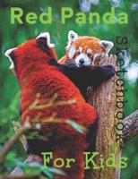 Red Panda Sketchbook For Kids