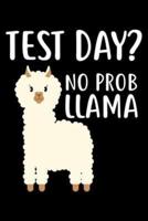 Test Day? No Prob Llama