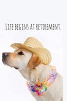 Life Begins at Retirement.