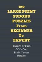 120 Sudoku Large Print Puzzles from Beginner to Expert