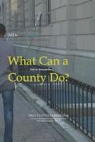 What Can a County [City or Enterprise] Do?