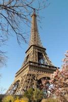 A View of the Eiffel Tower in Early Spring Journal