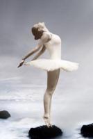 Dreamy Ballerina in a White Tutu Journal