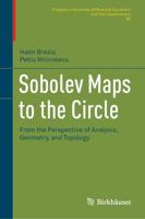 Sobolev Maps to the Circle : From the Perspective of Analysis, Geometry, and Topology