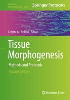 Tissue Morphogenesis